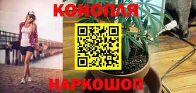 крисы Канаш